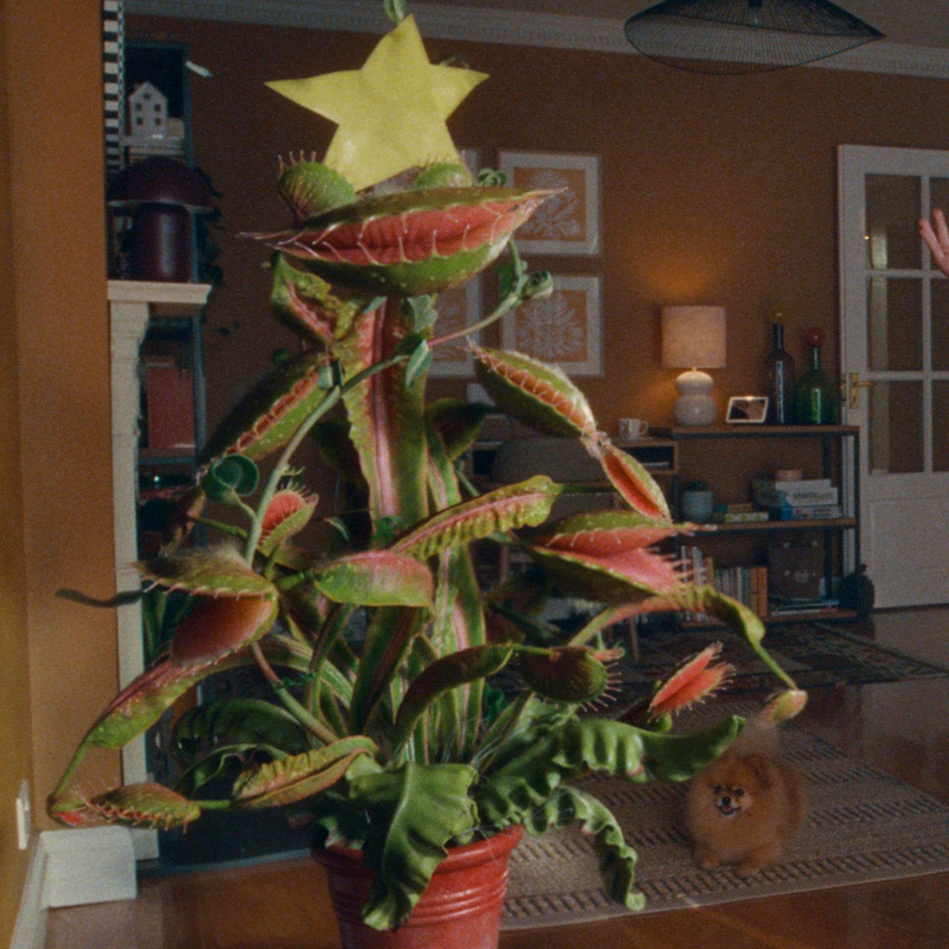 Still from John Lewis Christmas advert 2023