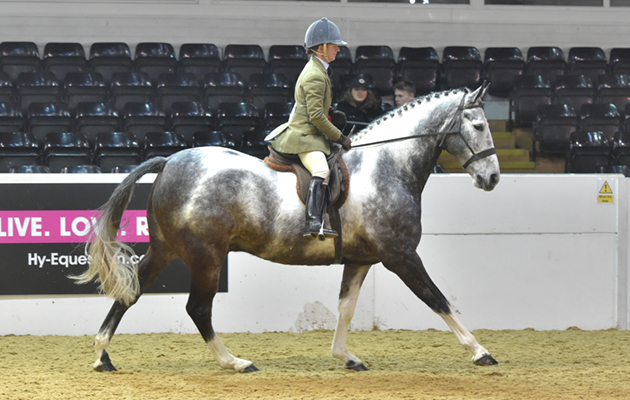 BSPS Area 5Kinder Scout and Jill Wormall (CHAPS NON NATIVE WINNER)