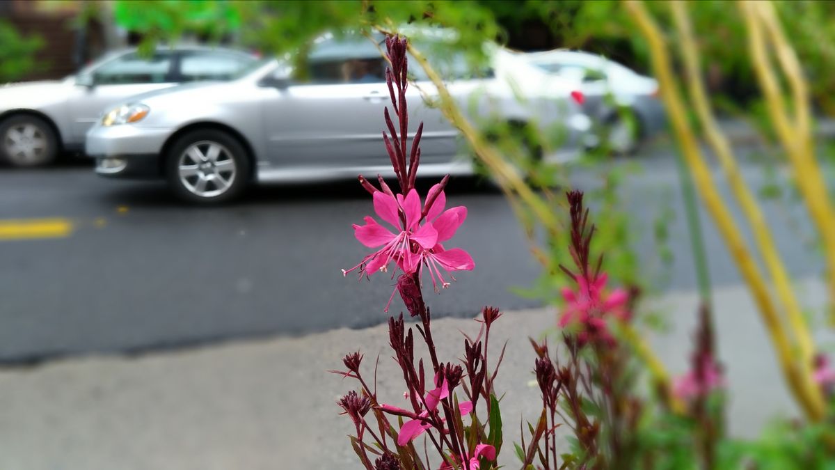 The depth of field effect works, but includes some of the background
