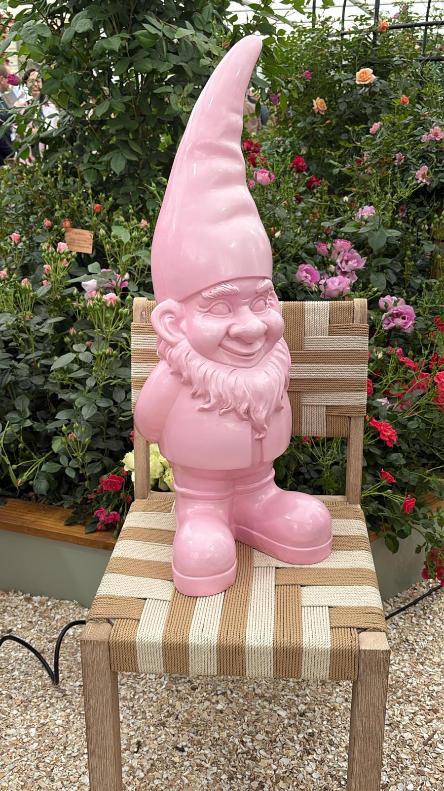 A hideous pink gnome