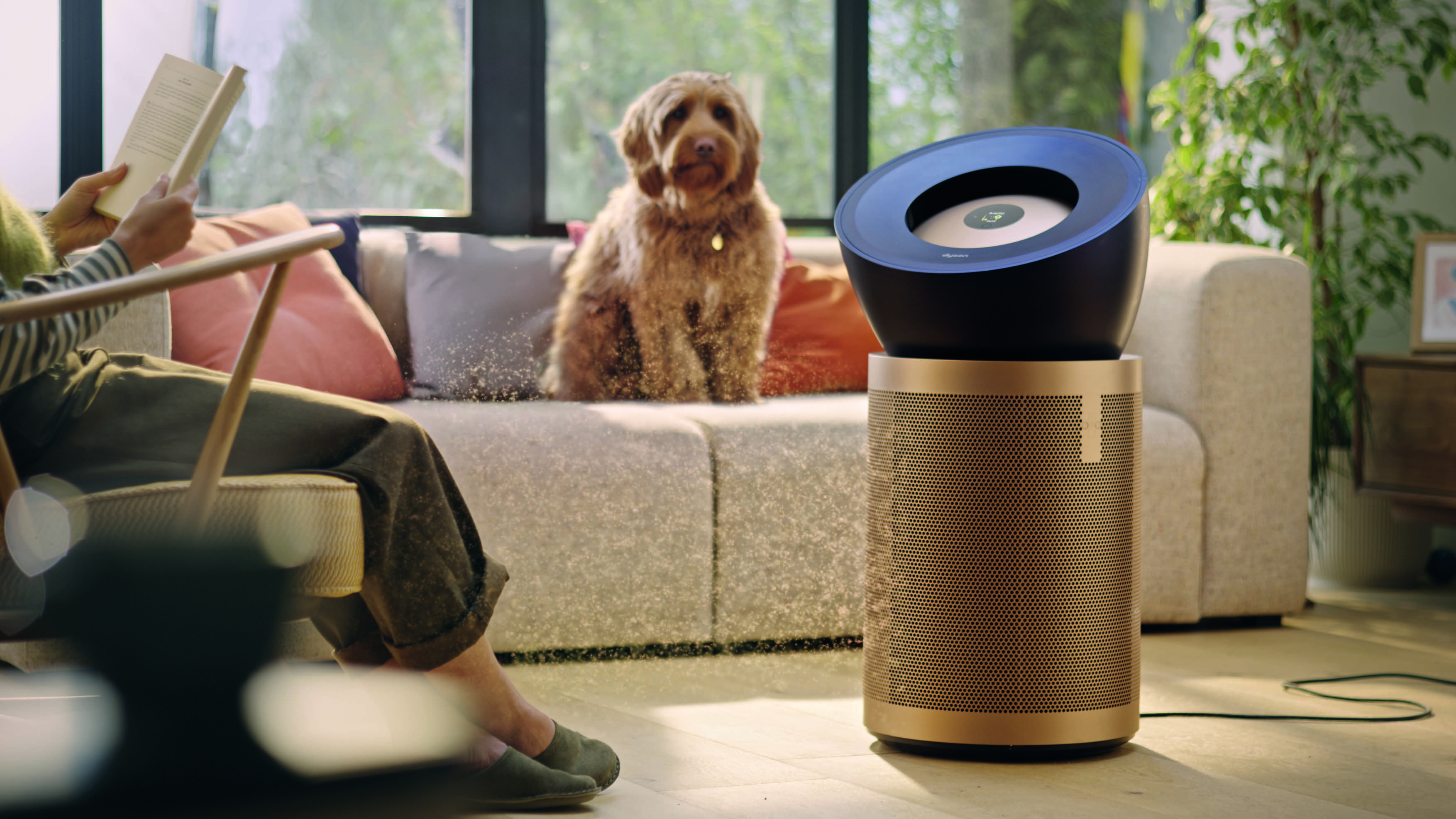 Dyson vacuum in lifestyle 