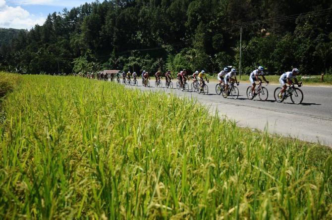 The bunch speed along ahead of the rest day