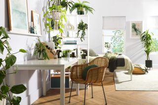 White bookcase and houseplants room divider by Furniture and Choice