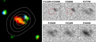 On the left is JWST's image of CEERS-DSFG-1, with NOEMA's submillimeter observations overlaid on top of it as the contour lines. On the right is how CEERS-DSFG-1 appears to JWST when seen through different filters, undetectable in shorter-wavelength filters, but becoming more noticeable in the redder filters.