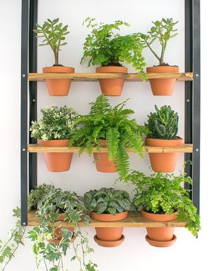 wall planter