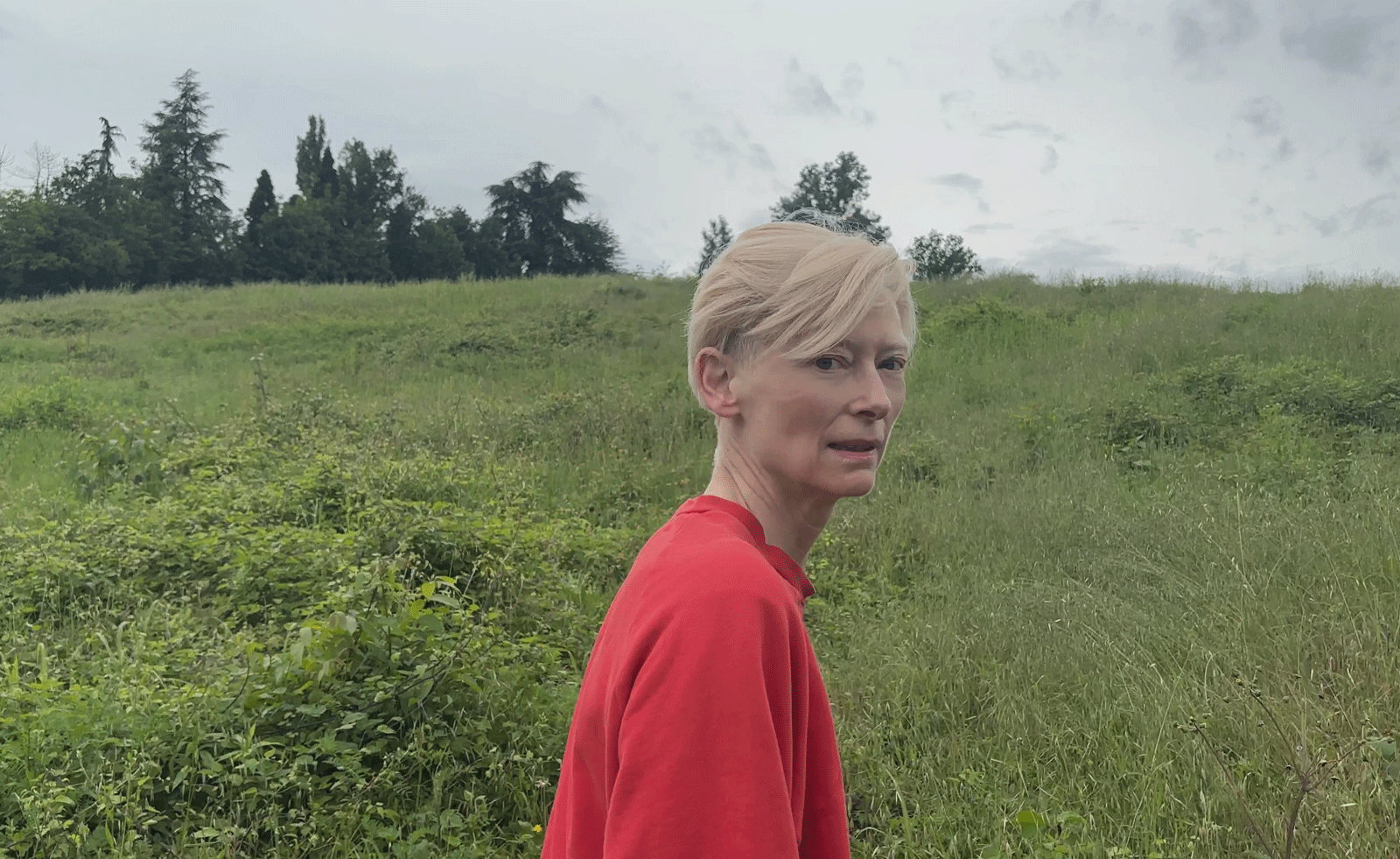 tilda swinton