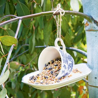 cup and saucer bird feeder with seeds