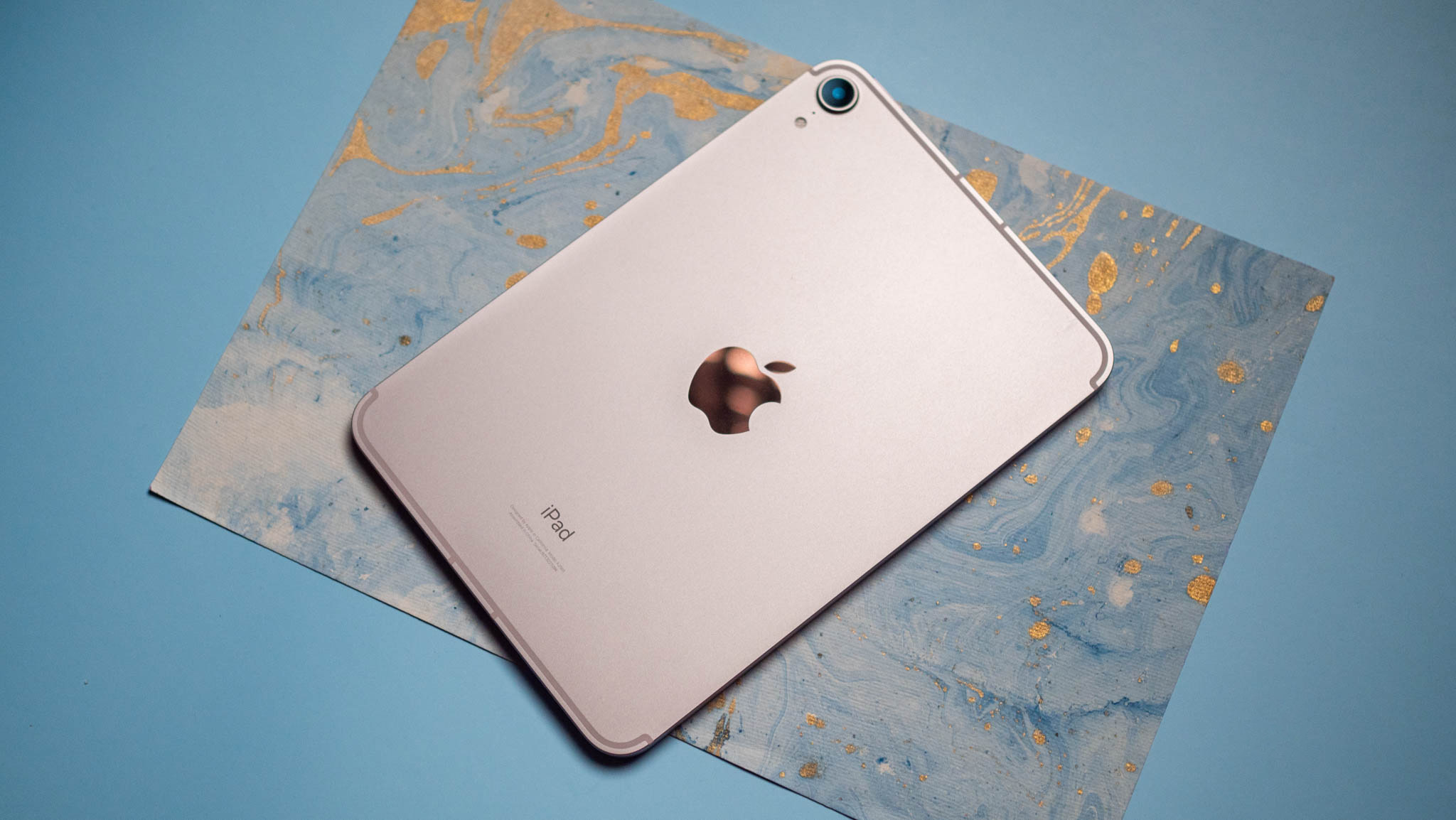 Apple iPad mini back view