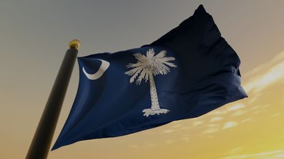 picture of South Carolina state flag on pole against golden sky