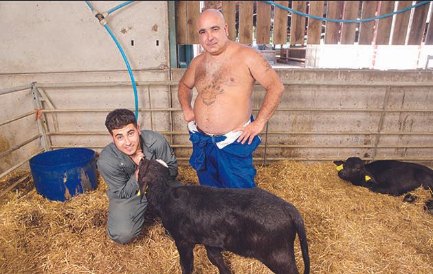 It&#039;s the final visit to the Hampshire farm as the celebs are coming to the end of their health bootcamp and wondering if they&#039;ll be able to apply all the good habits they&#039;ve learned to everyday life