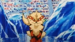 Arcanine in Pokemon.