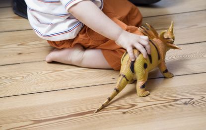 boy with dinosaur toy