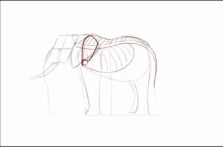 Rough sketch of an elephant with spine structure added