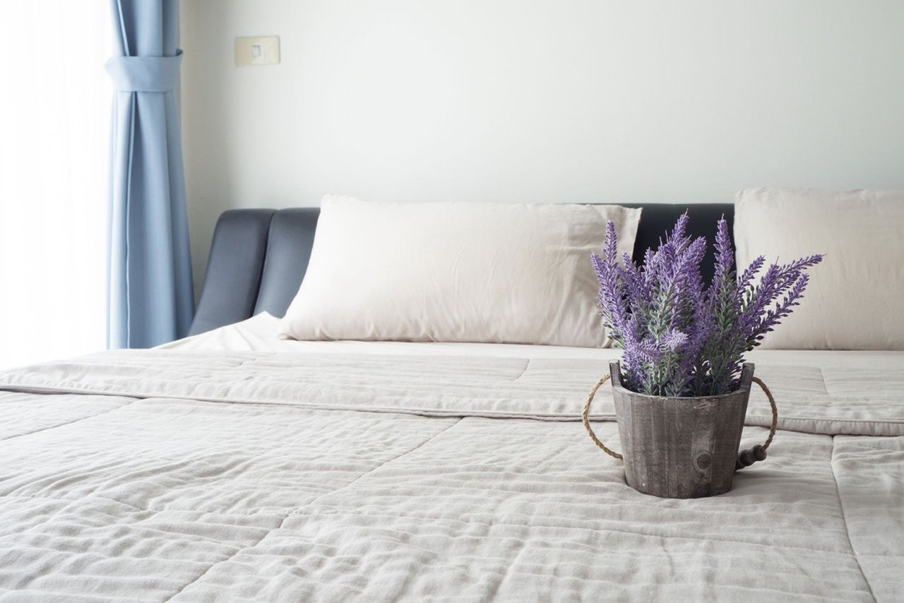 Bedroom With Potted Plant On Bed