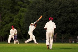 Possible cricket terms were found in Regin's code. Credit: Sean Nel/Shutterstock