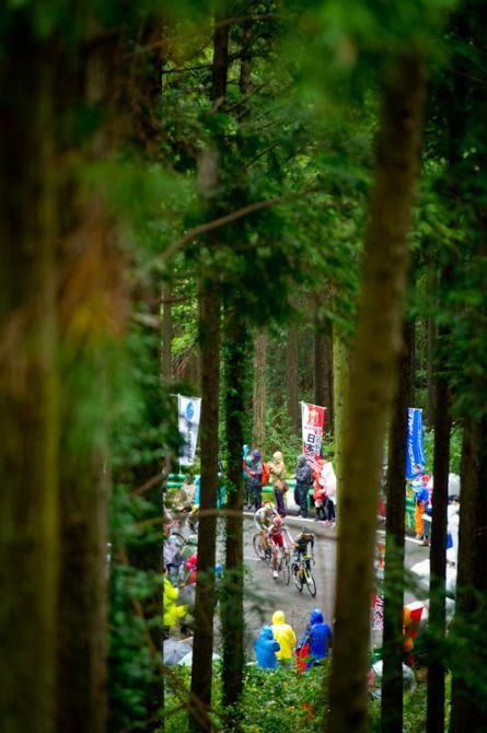 A look through the trees on the hilly circuit