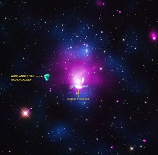 An image of galaxy cluster Abell 1033 and the electron cloud known as the "radio phoenix."