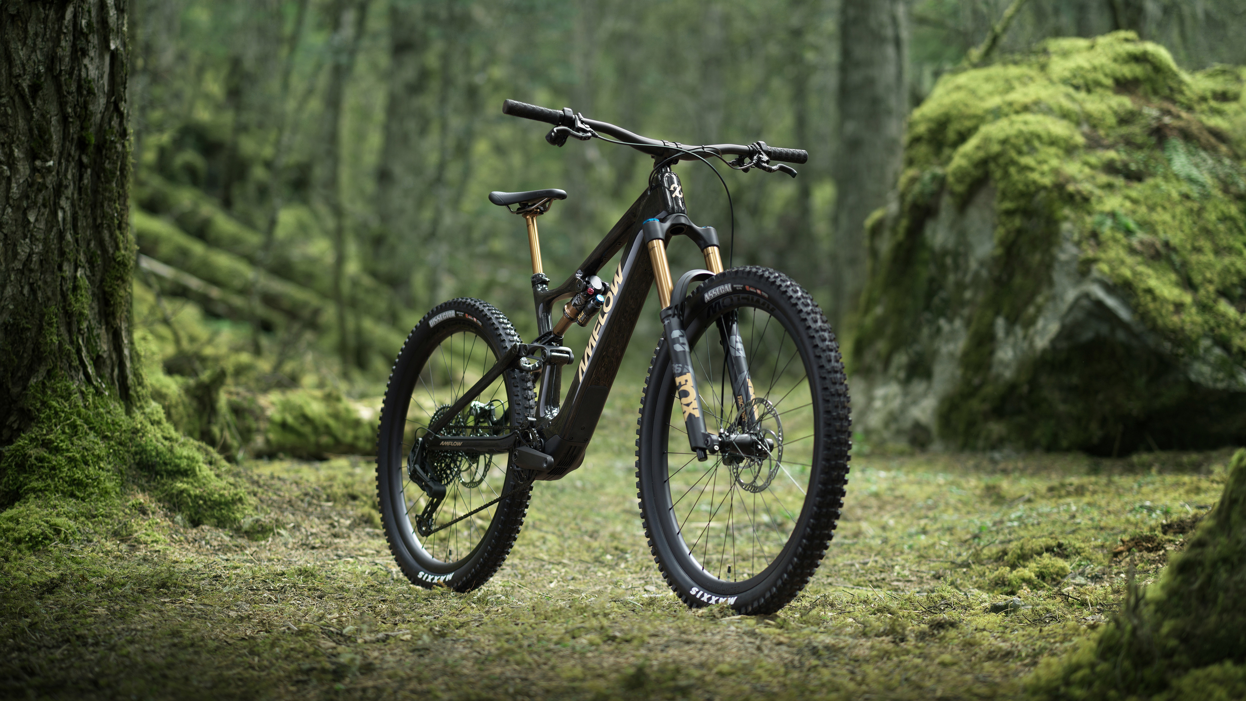 The Amflow PL electric mountain bike in a forest