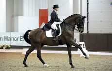 Improve walk pirouettes Sarah Millis - Korenbloem O'Neill