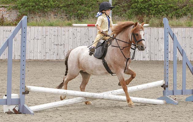 8Thelwell