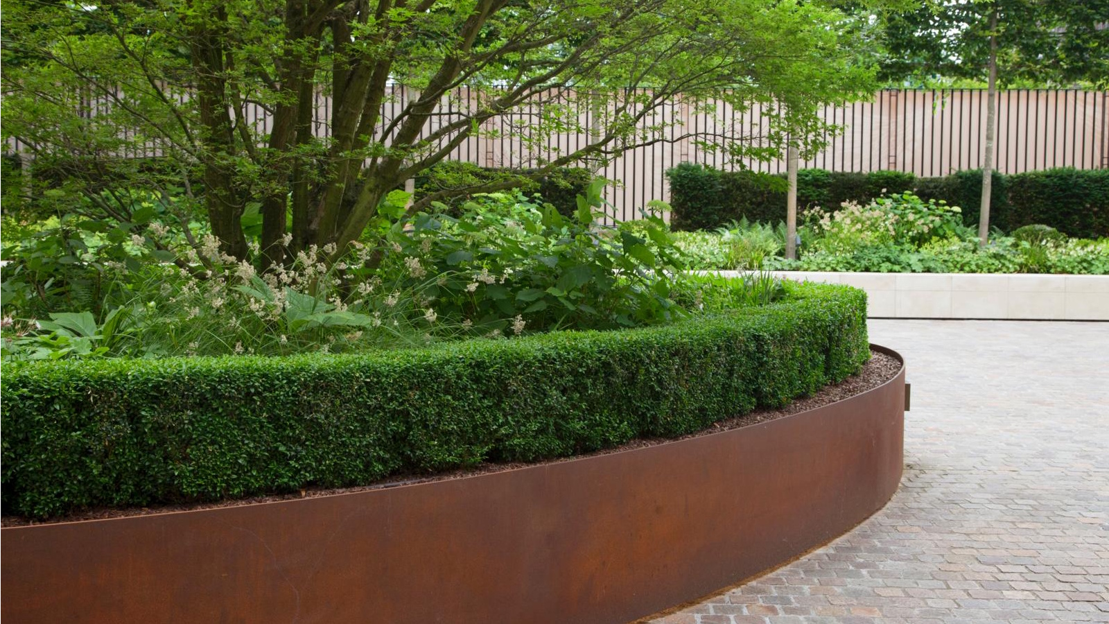 Boxwood in a formal garden