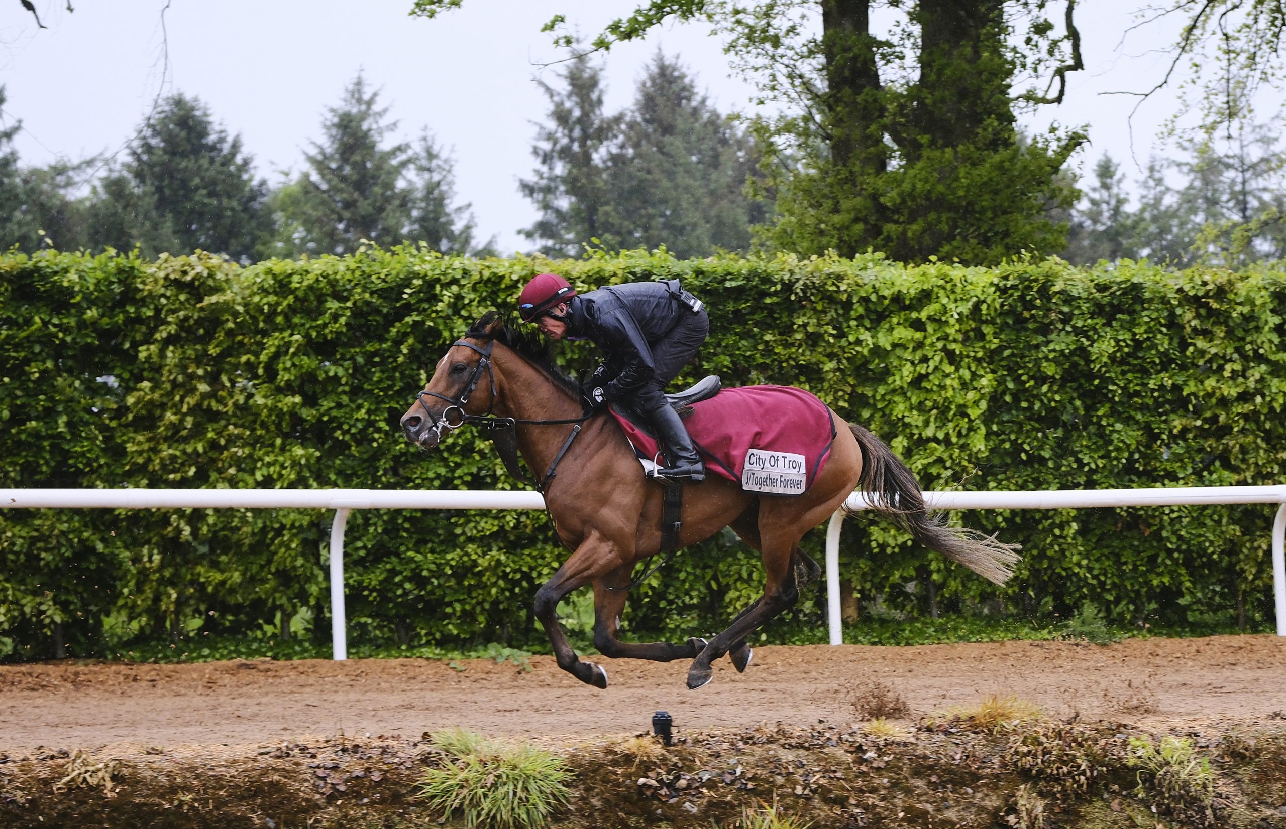 The Aidan O'Brien-trained City Of Troy lines up as favourite for the Derby at Epsom on Saturday 1 June.