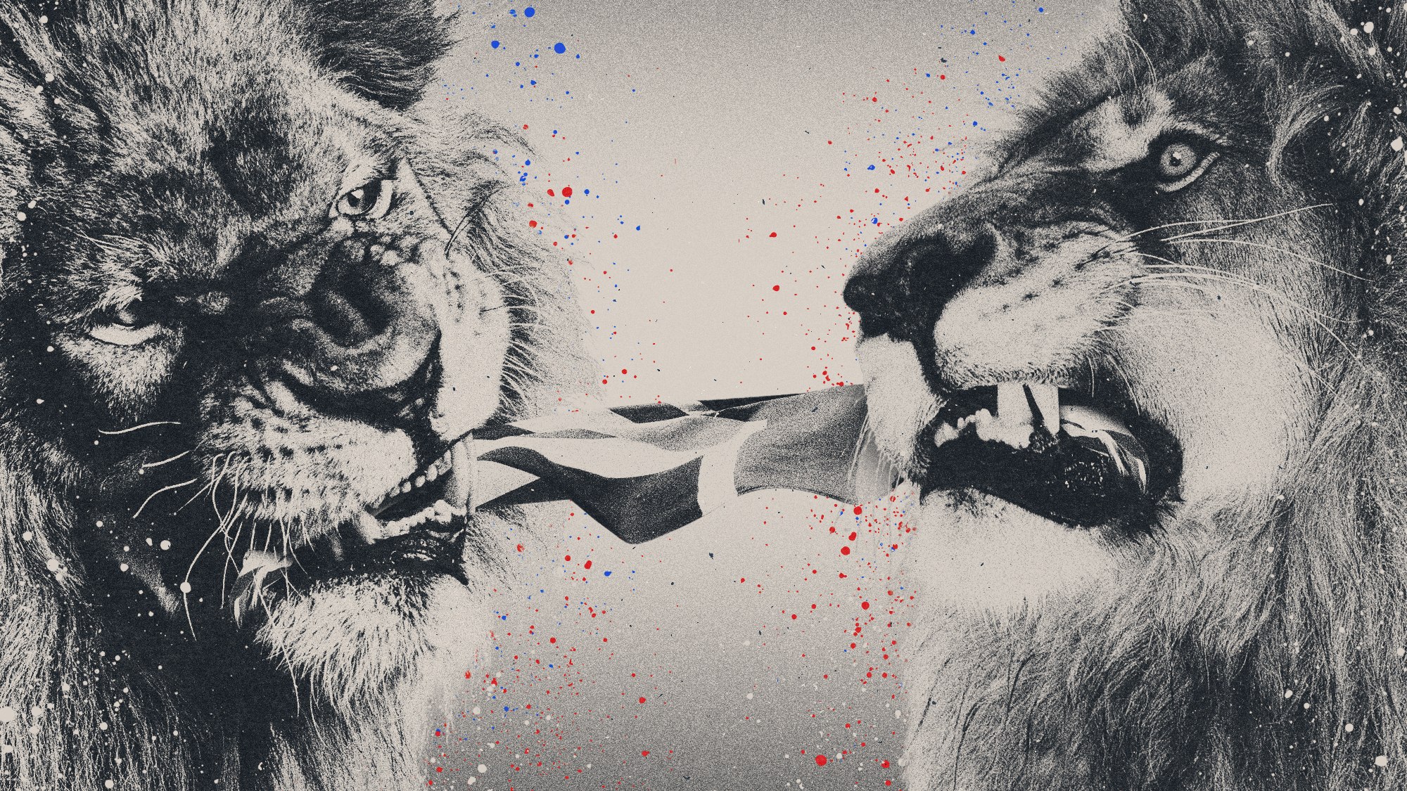 Illustration of two lions fighting over a Union Jack flag