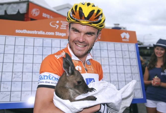 Race leader Jack Bobridge (UniSA) poses with a joey in Unley