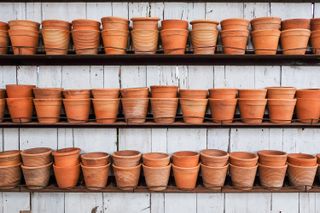 shed storage ideas: terracotta pots on shelves
