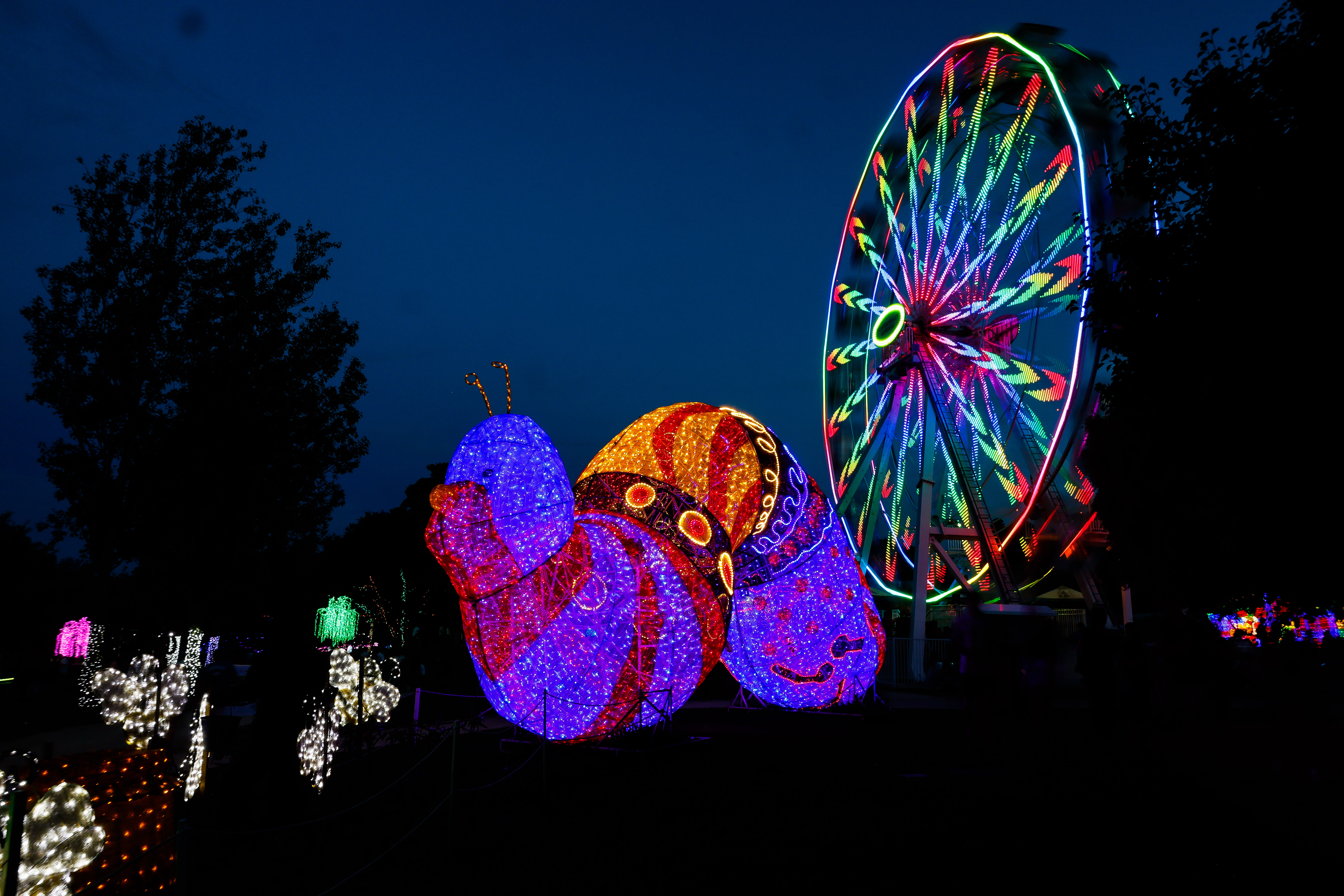 Light display in the fairgrounds