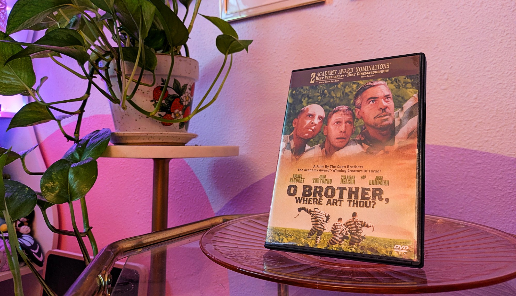 A DVD of O Brother, Where Art Thou? next to a pothos and a pink and purple painted wall