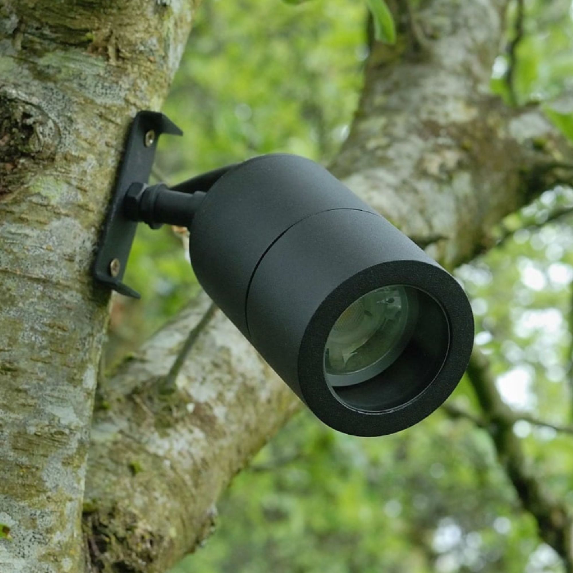 Matt black LED spotlight mounted to tree