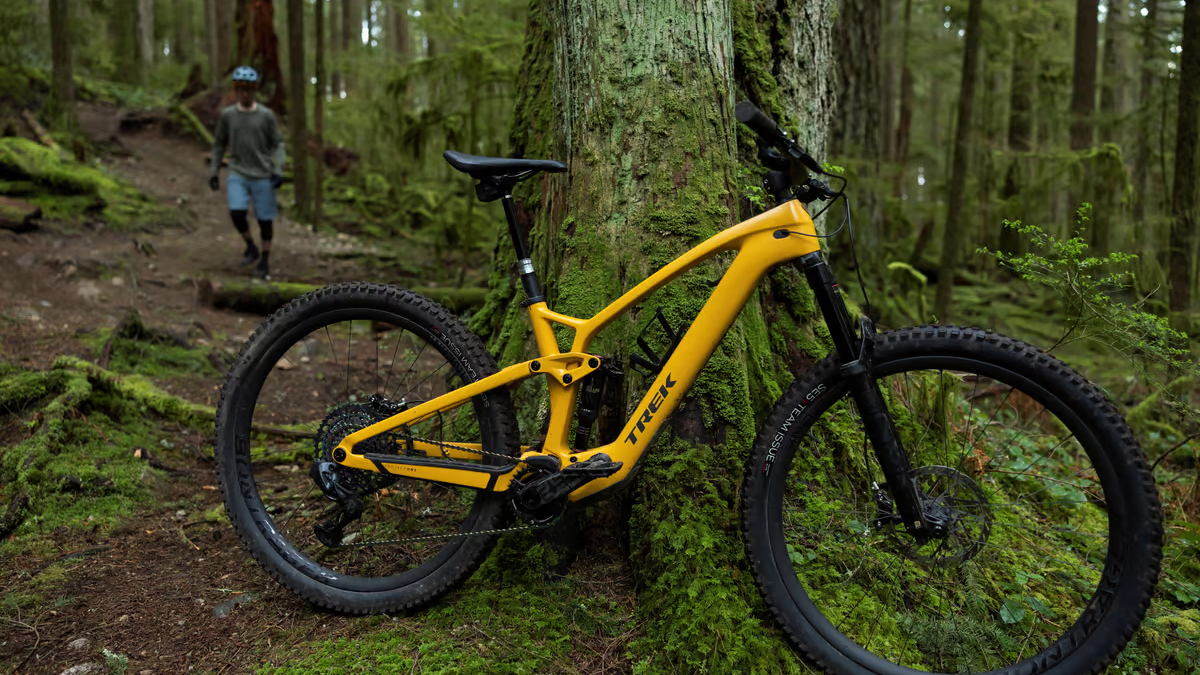 The Trek Fuel EXe eMTB resting against a tree