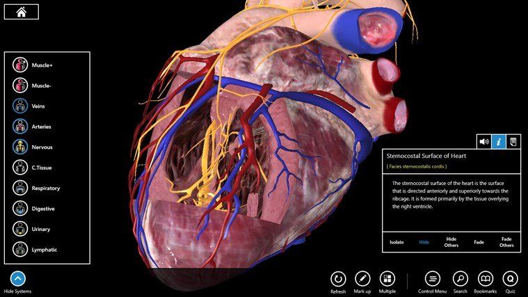 Studying anatomy this fall? Essential Anatomy 3 for Windows 8.1 is on ...