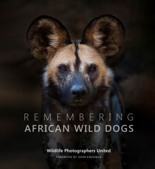This year’s cover image was taken by Neil Aldridge, and the book will go on sale in November 2021