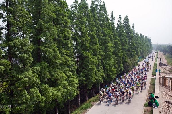 The peloton in action during stage 2 of the Tour of Chongming Island.