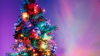 multi-colored Christmas tree against a purple background
