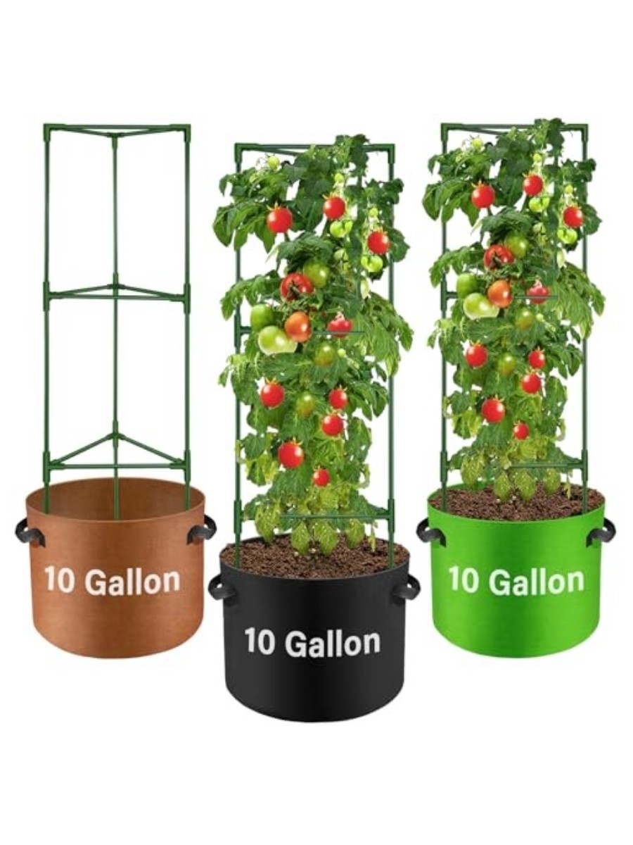 Tomato Cages with Grow Bags