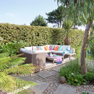 Garden with hedge row border and sofa set