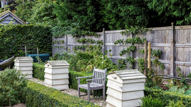 Garden Fence Ideas Define The Edges Of Your Garden And Create A Boundary Country