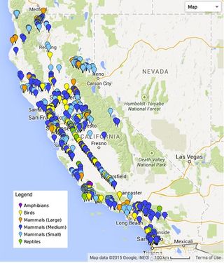A map of roadkill reported in California.