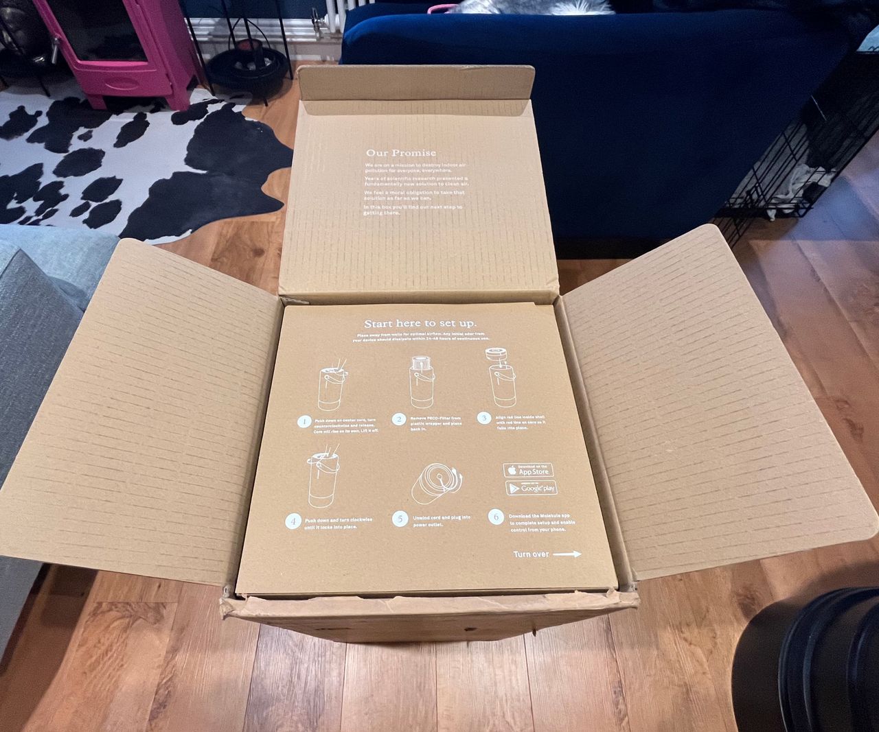 Molekule Air Pro
