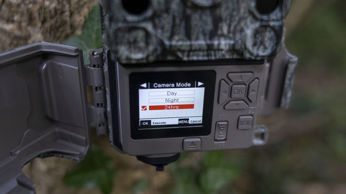 The Bushnell Core S-4K No Glow trail camera mounted on a woodland tree