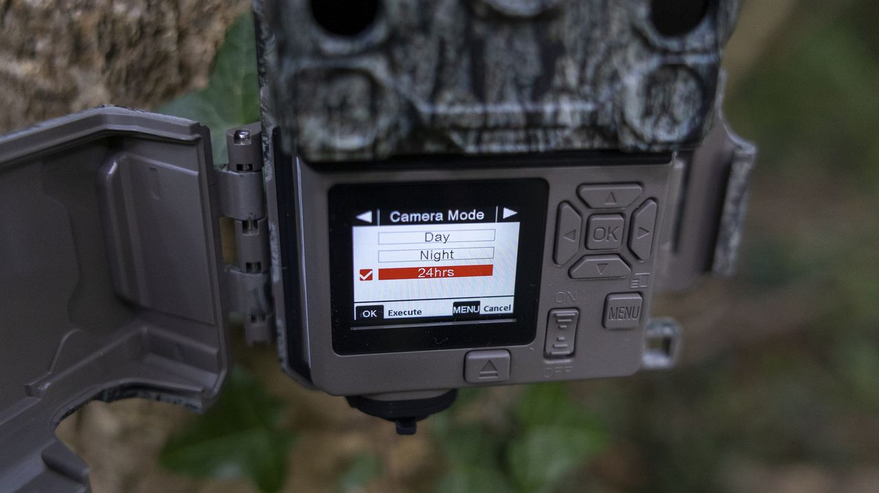 The Bushnell Core S-4K No Glow trail camera mounted on a woodland tree
