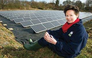 Christine and panels