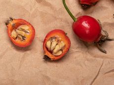 Whole And Sliced Open Rose Bush Seeds