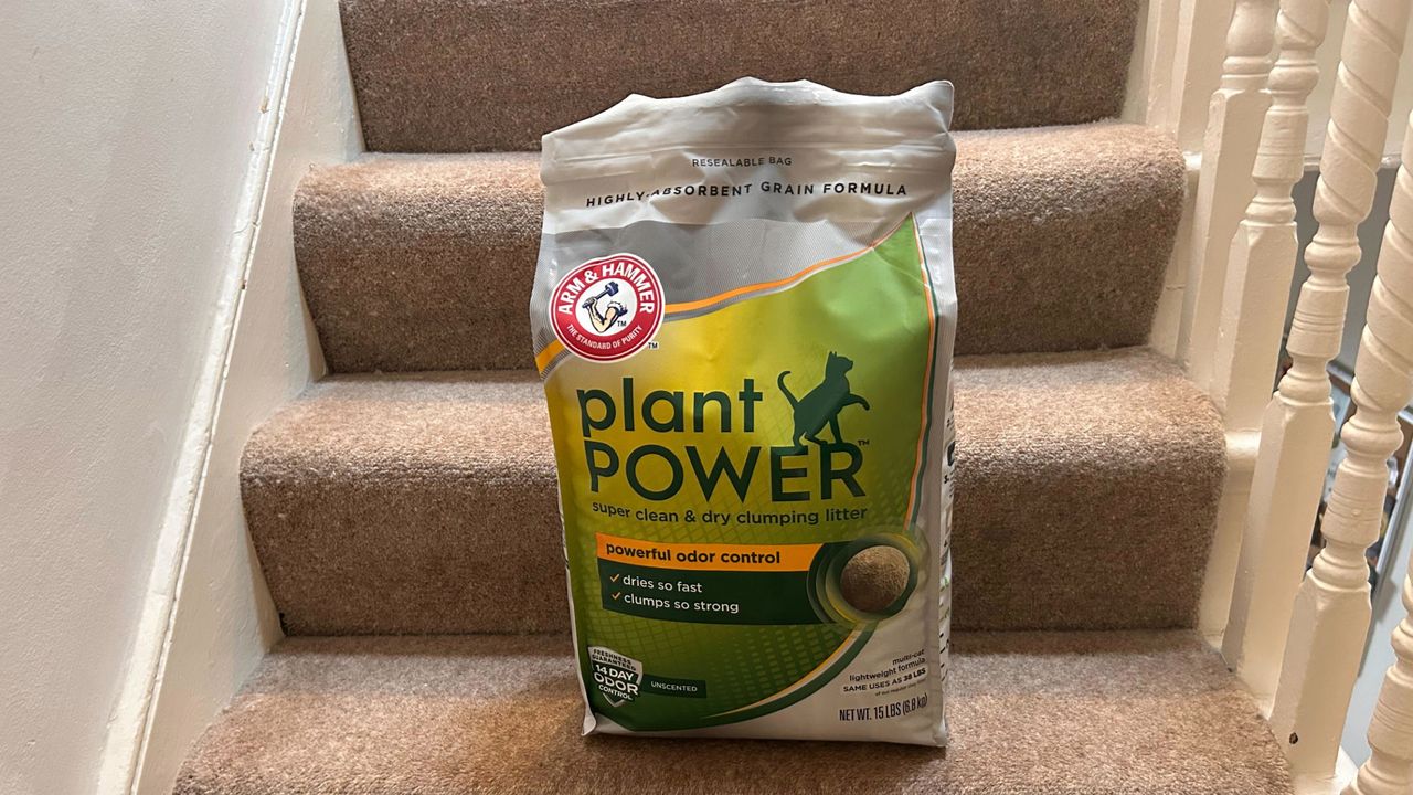 Arm and Hammer Plant Power Cat Litter bag on Megan's stairs