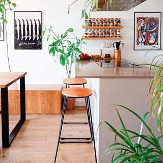 rental flat kitchen with bench