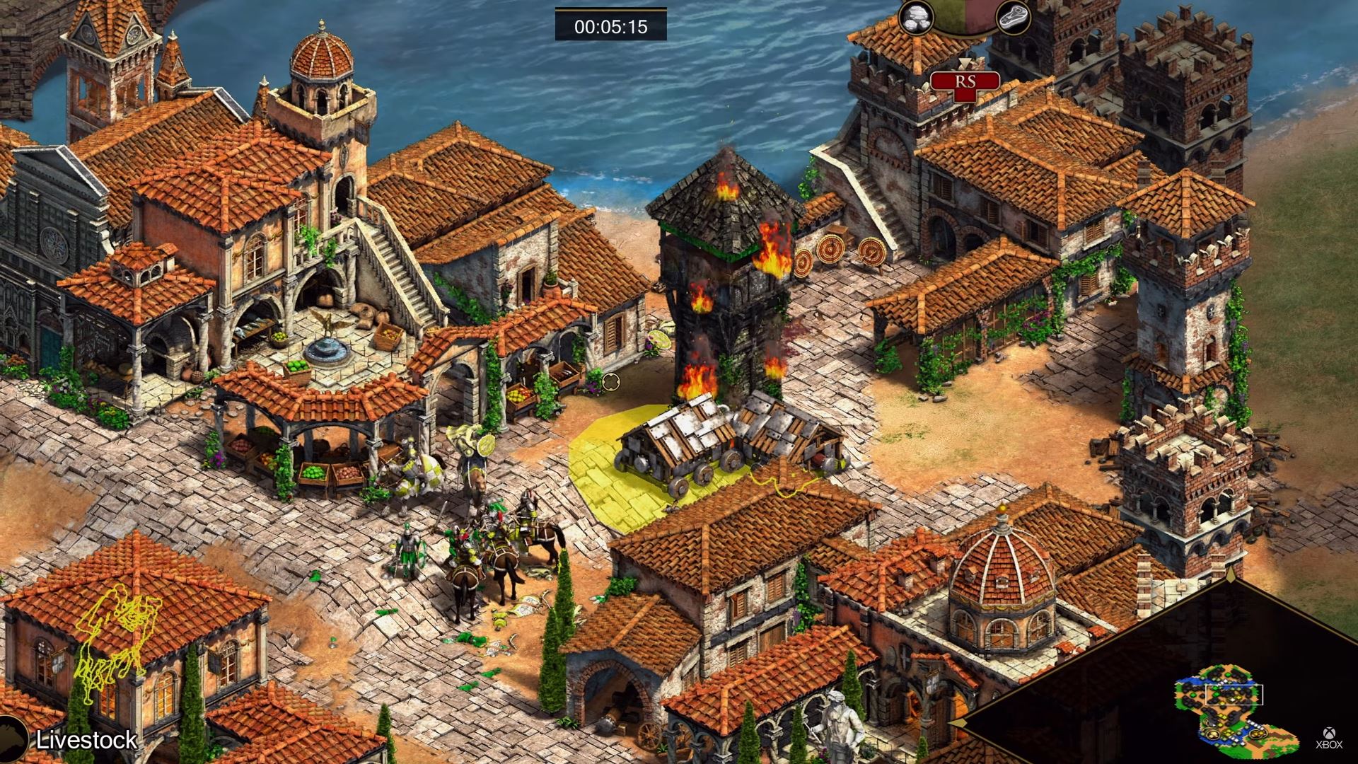 Age of Empires 2: Definitive Edition - Camelos atacando