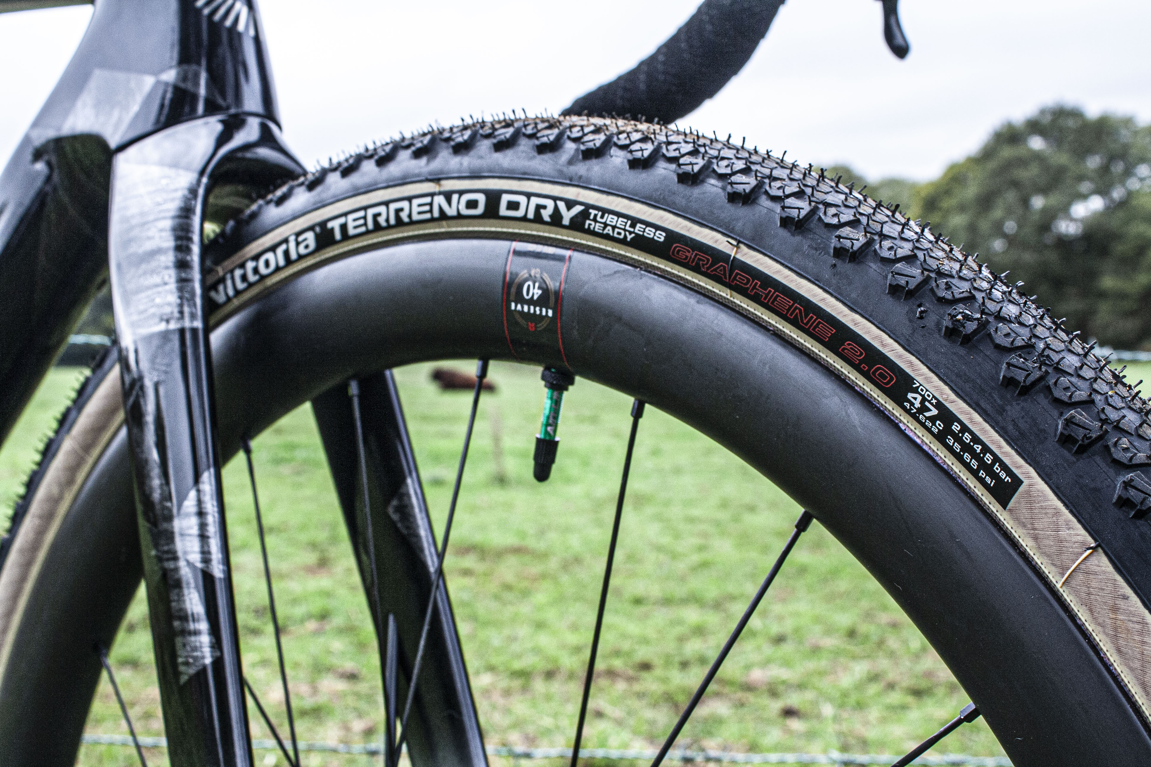Detail of the Vittoria Terreno T30 47mm tyres